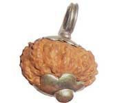 13 MUKHI RUDRAKSHA