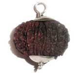 13 MUKHI RUDRAKSHA