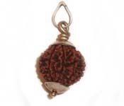 9 MUKHI RUDRAKSHA 