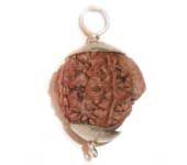 Ganesh Rudraksha