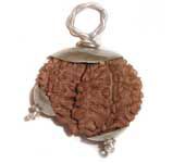 Gauri Shankar Rudraksha